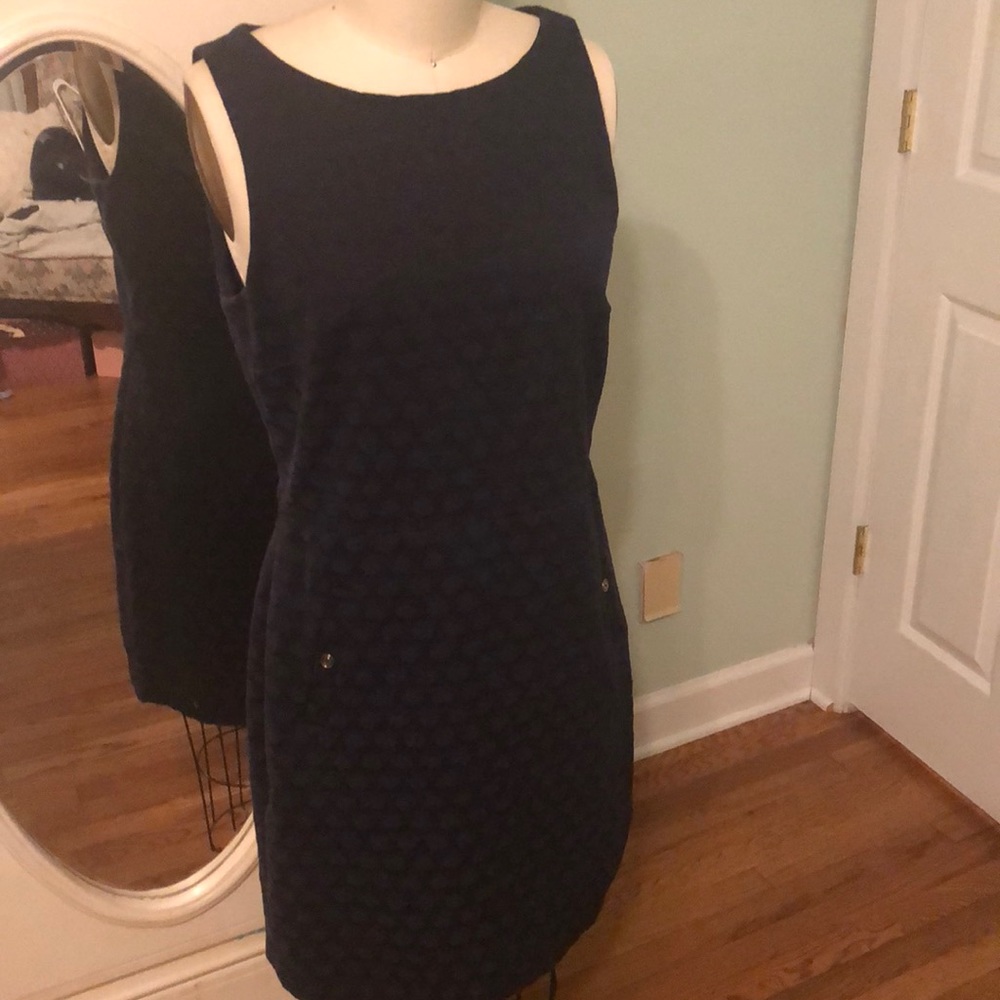 J. Crew Dress